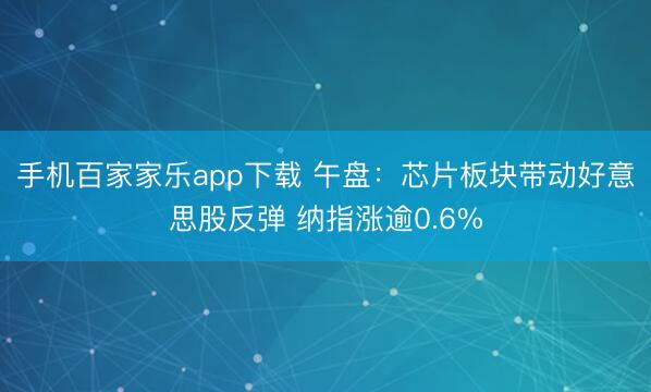 手机百家家乐app下载 午盘:芯片板块带动好意思股反弹 纳指涨逾0.6%