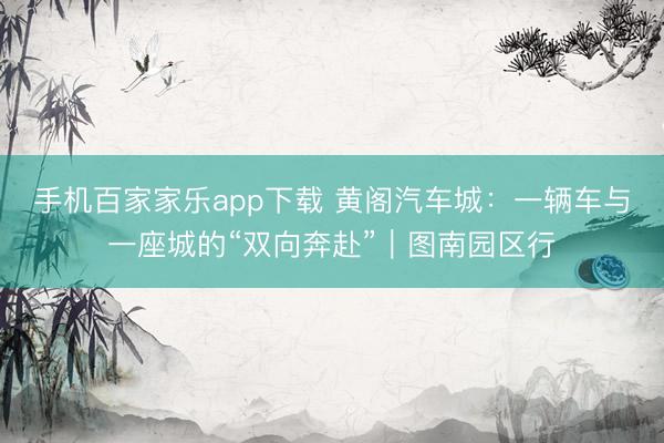 手机百家家乐app下载 黄阁汽车城：一辆车与一座城的“双向奔赴”｜图南园区行