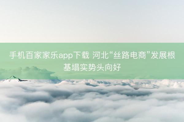 手机百家家乐app下载 河北“丝路电商”发展根基塌实势头向好